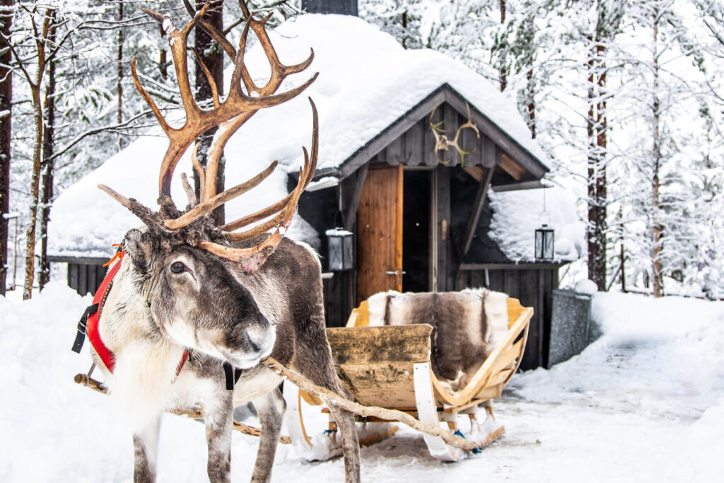 foto_rovaniemi