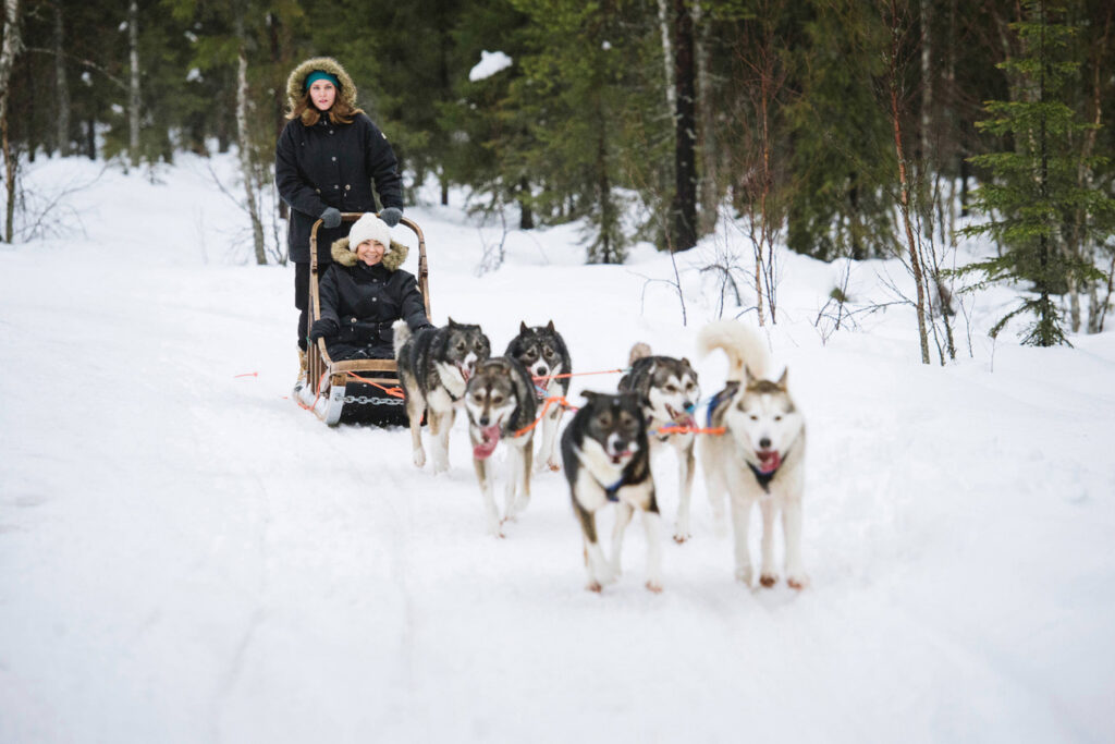 foto_rovaniemi_