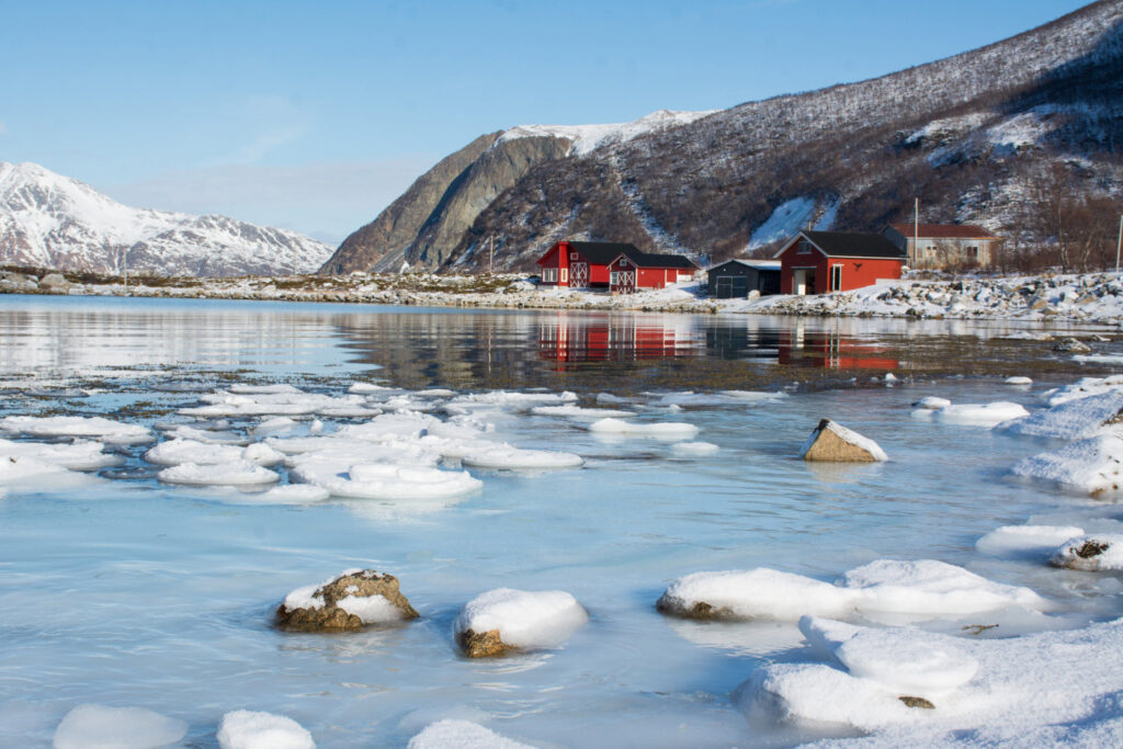 foto_svalbard