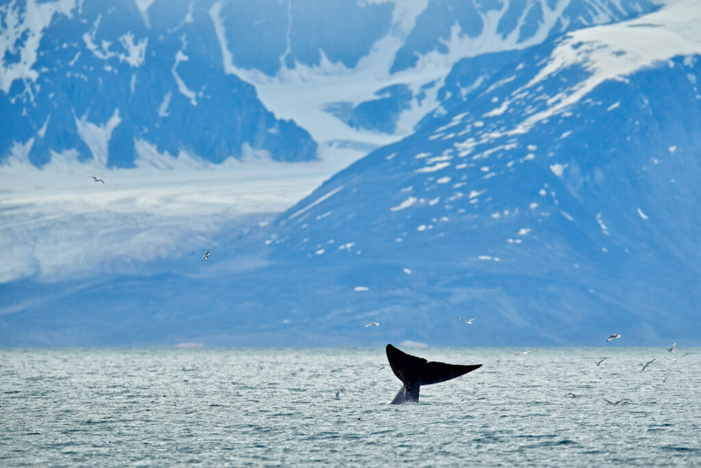 Svalbard