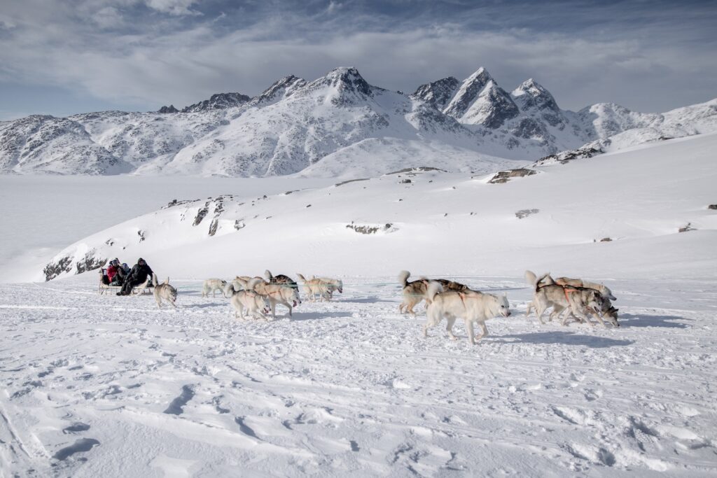 A dog sled going uphill outside Tasiilaq in East Greenland