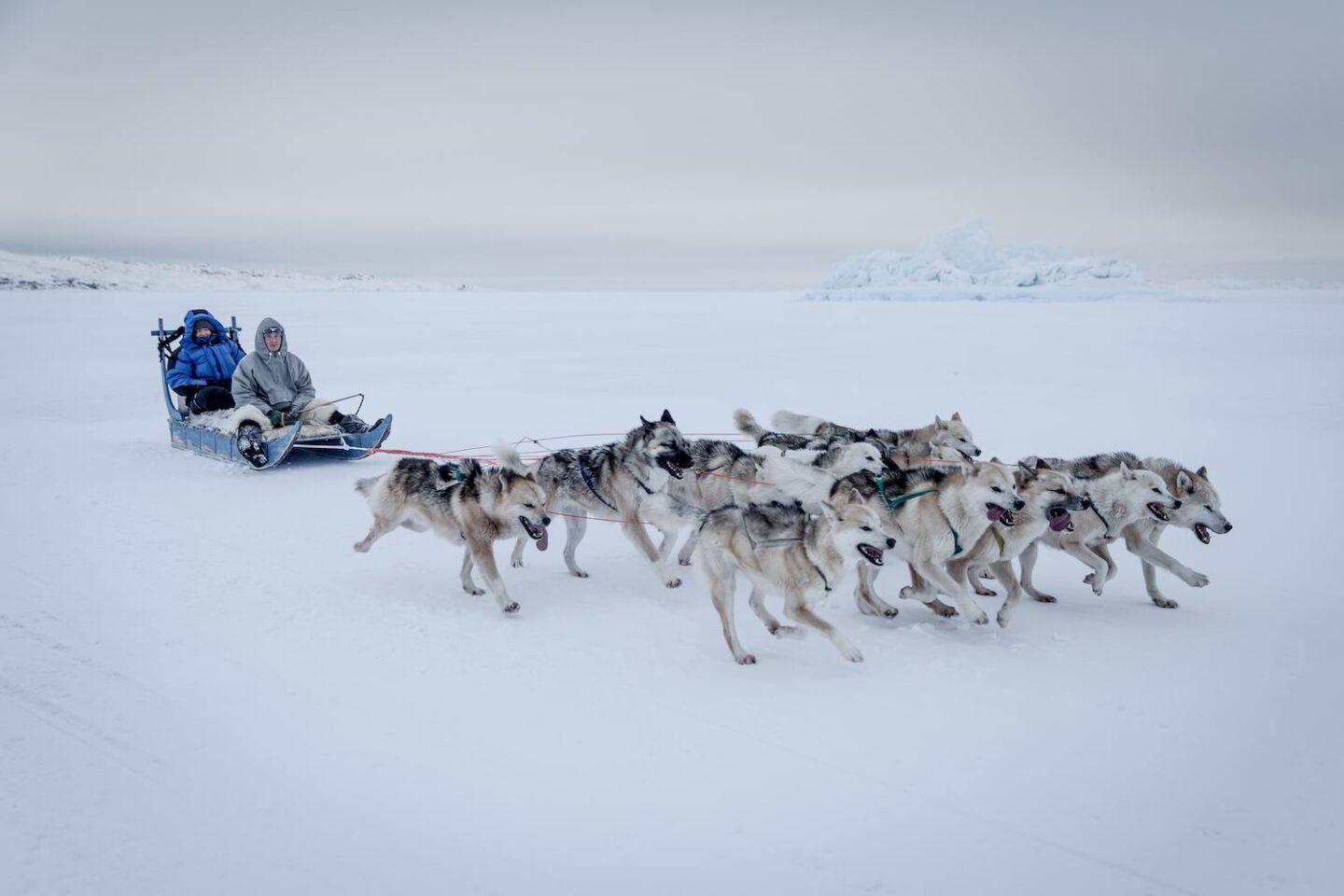 A dog sled on the sea ice between Ilulissat and Oqaatsut in Greenland