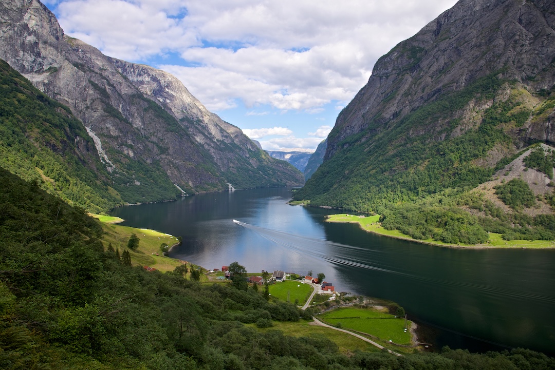 Fiores noruegueses durante a temporada de verão