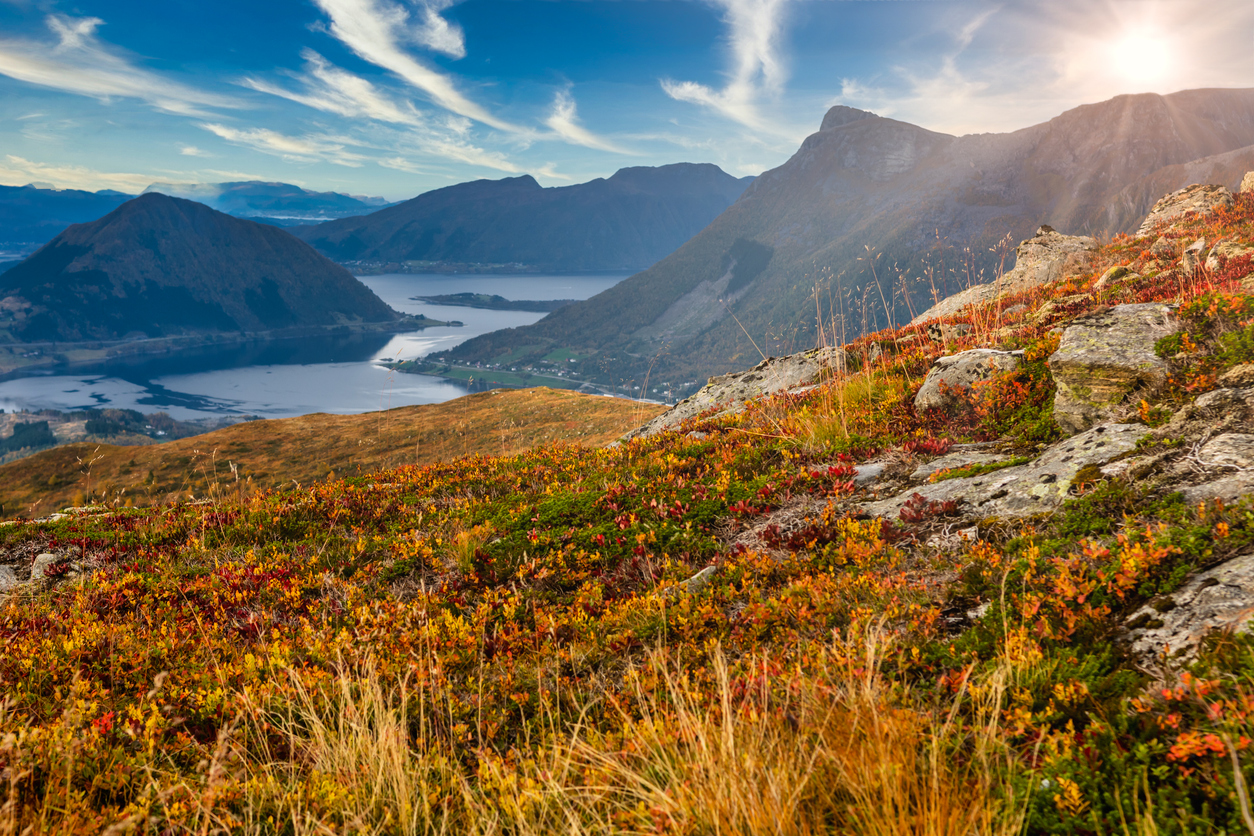 Golden October, autumn in Norway with blue sky and sunflare near Volda, Orsta