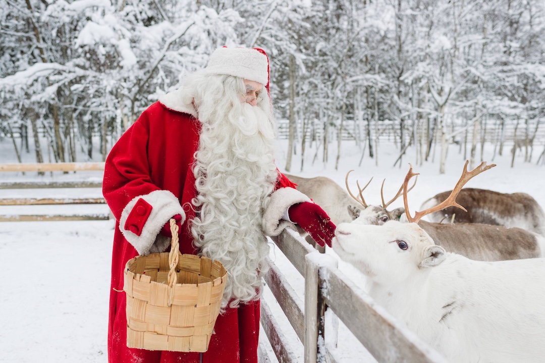 Papai Noel alimentando suas renas, diante da paisagem nevada da Lapônia