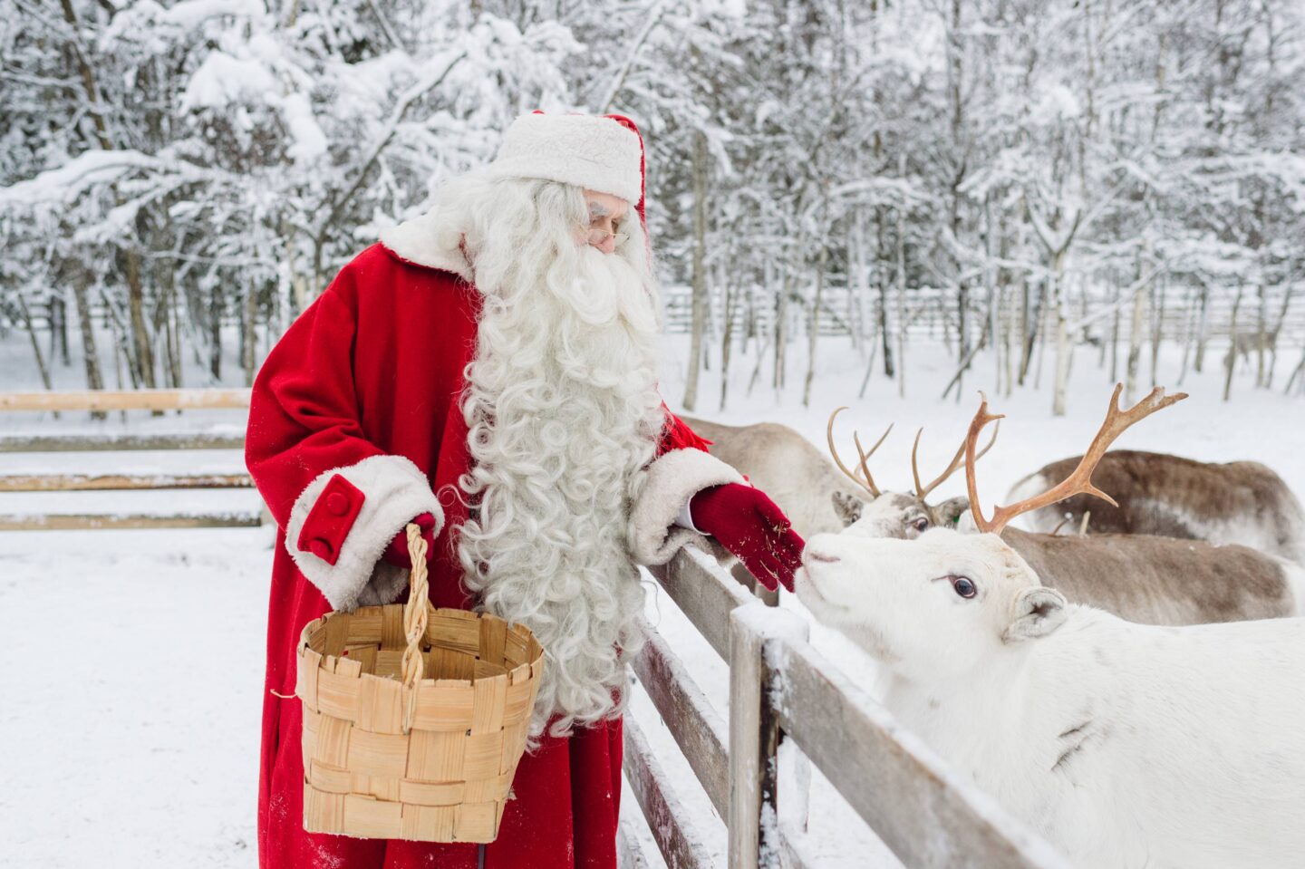 Papai Noel e sua rena - Visit Finland
