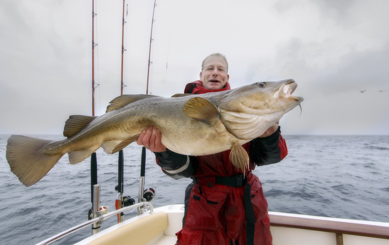Pesca do Bacalhau na Noruega