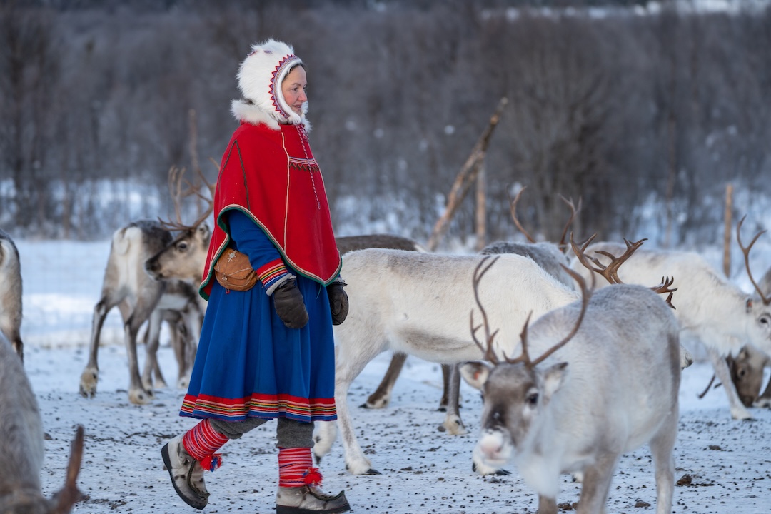 Mulher Sami em meio as renas, na paisagem nevada da Noruega