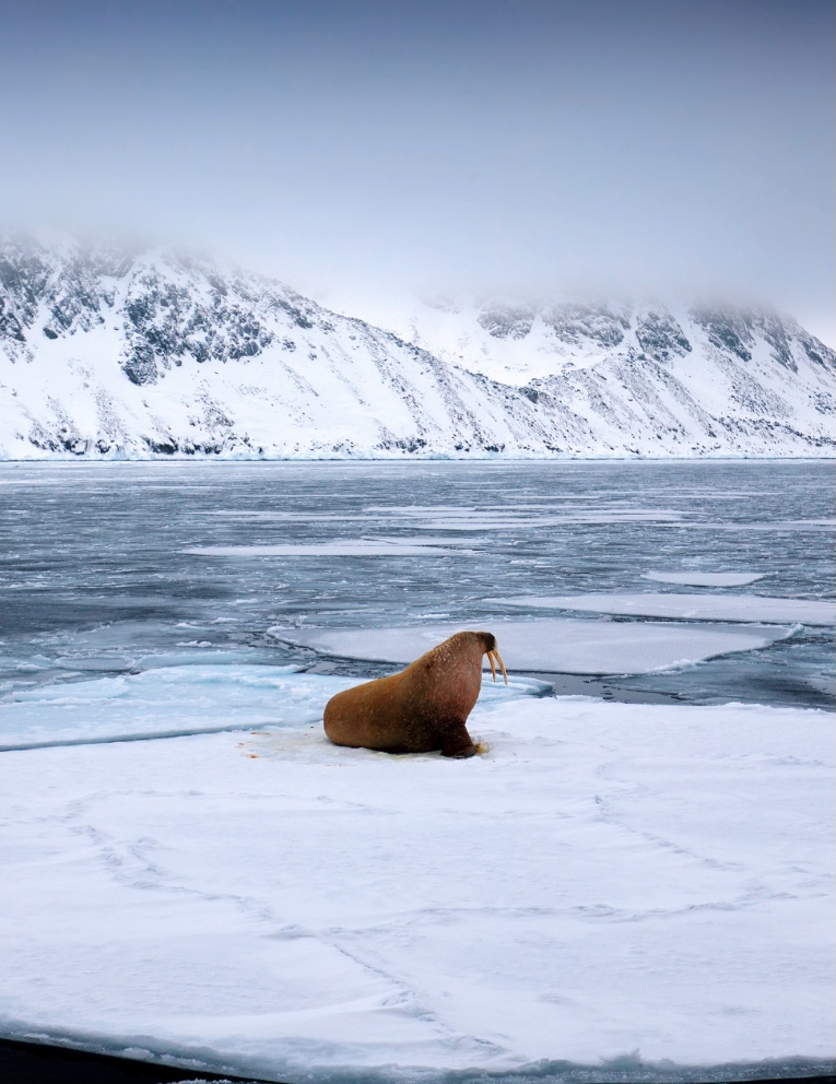 Svalbard