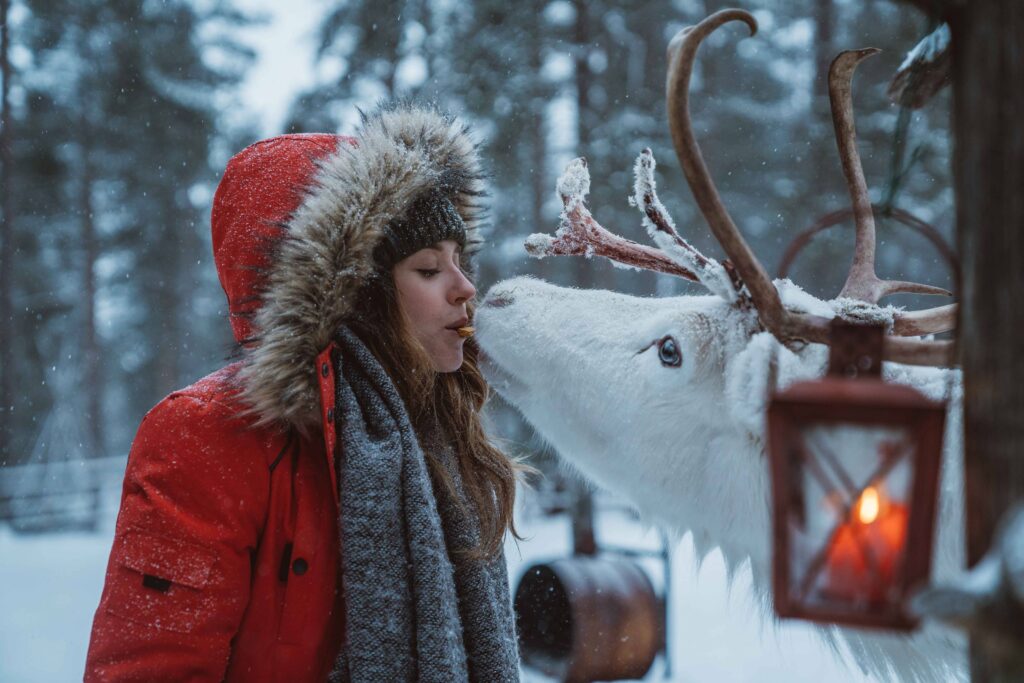 Turista beija uma rena na Finlândia - - Visit Finland