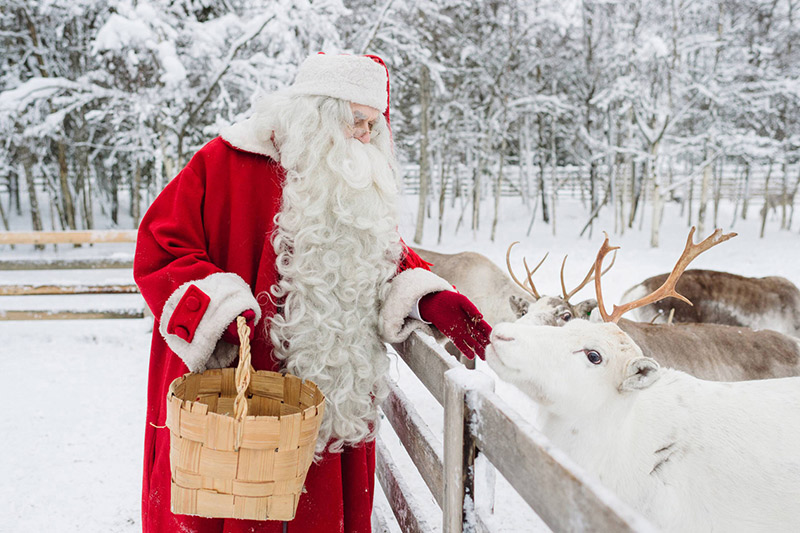 foto_rovaniemi_com_iglu_de_vidro_02