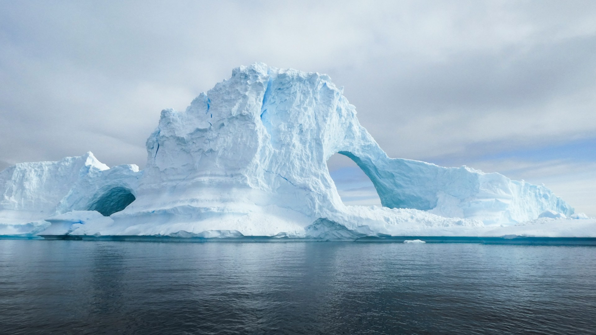groenlandia-icebergs-mar