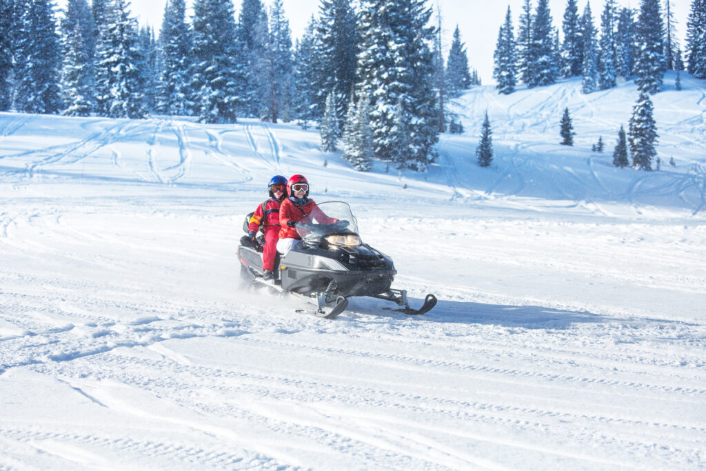 Snowmobile em floresta nevada