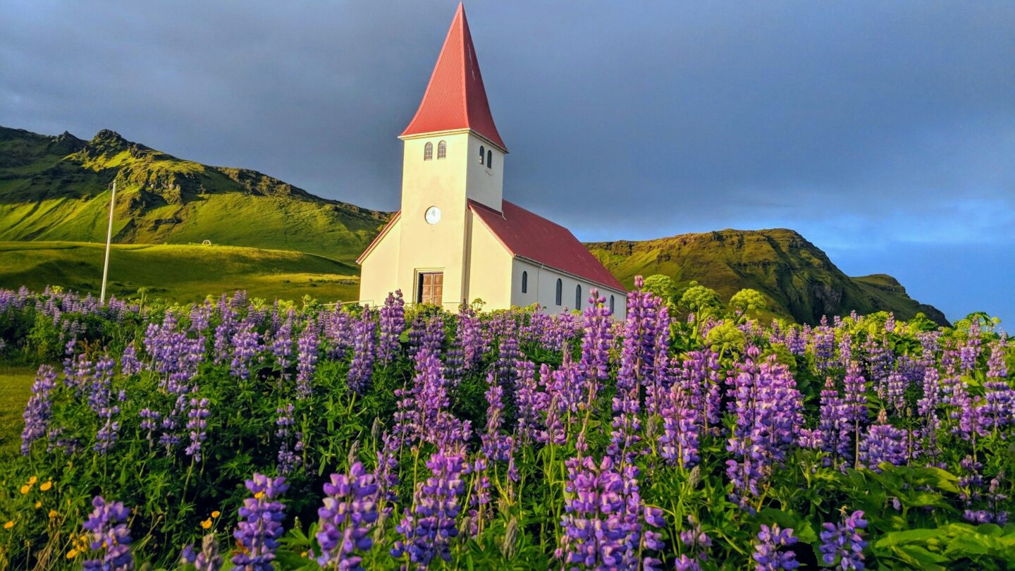 igreja em destaque em Vik i Myrdal Islândia com paisagem florida primavera