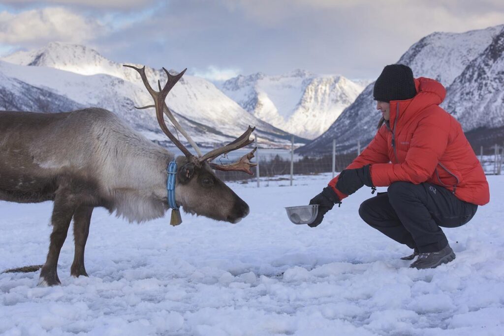 suecia-noruega-borealis