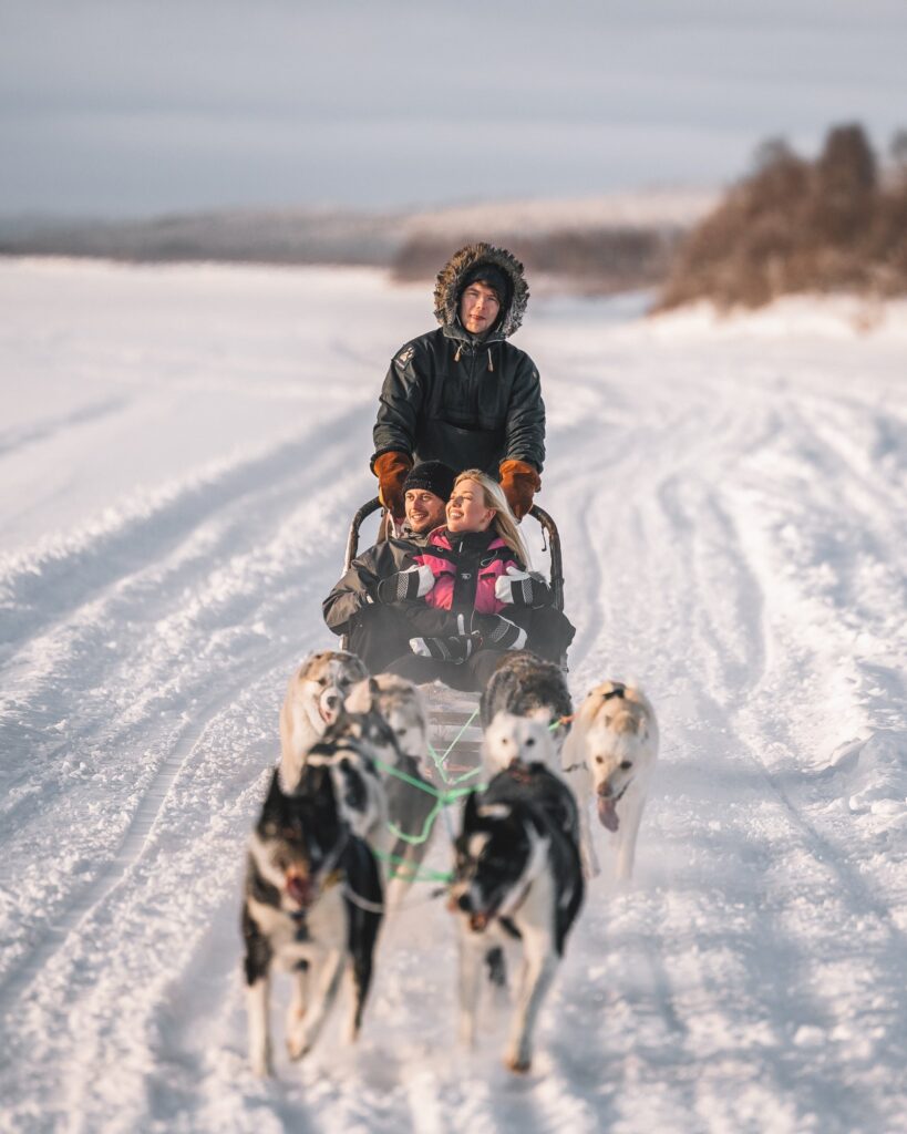 Nova Skyland - Dogsleding