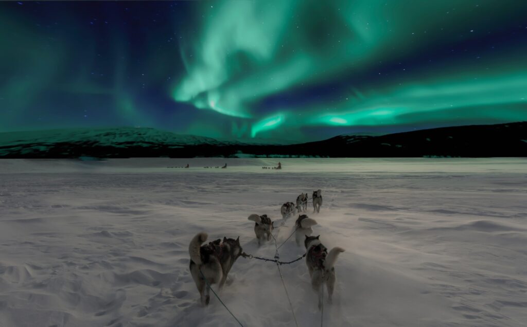 dogsledding-aurora-boreal-scaled