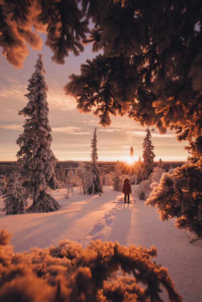finland_lapland_winter_sunrise_levi