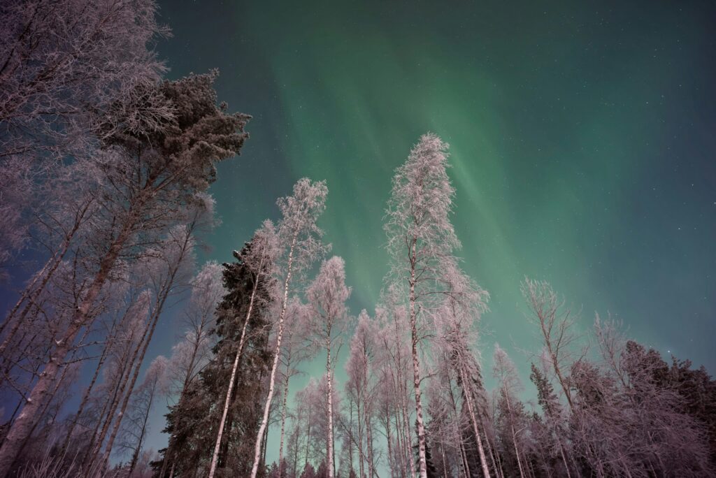 finlandia-laponia-floresta-boreal-aurora-boreal-vincent-guth-xrwvify6rtw-unsplash-scaled