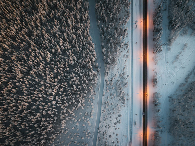 floresta-boreal-levi-finlandia-janosch-diggelmann-7bhjse75ekw-unsplash-1