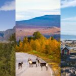 noruega-suecia-finlandia-qual-o-melhor-destino