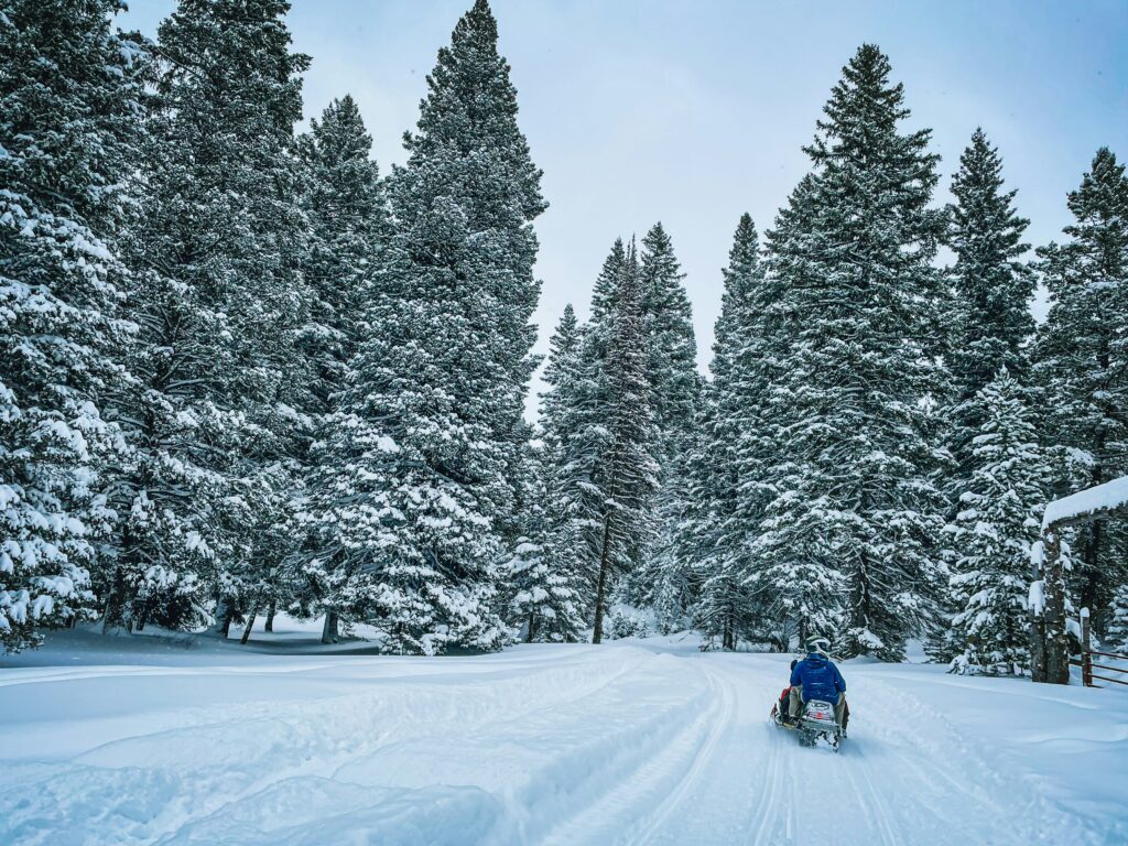 snowmobile-in-the-forest-dan-cutler-5lmpgjakw20-unsplash