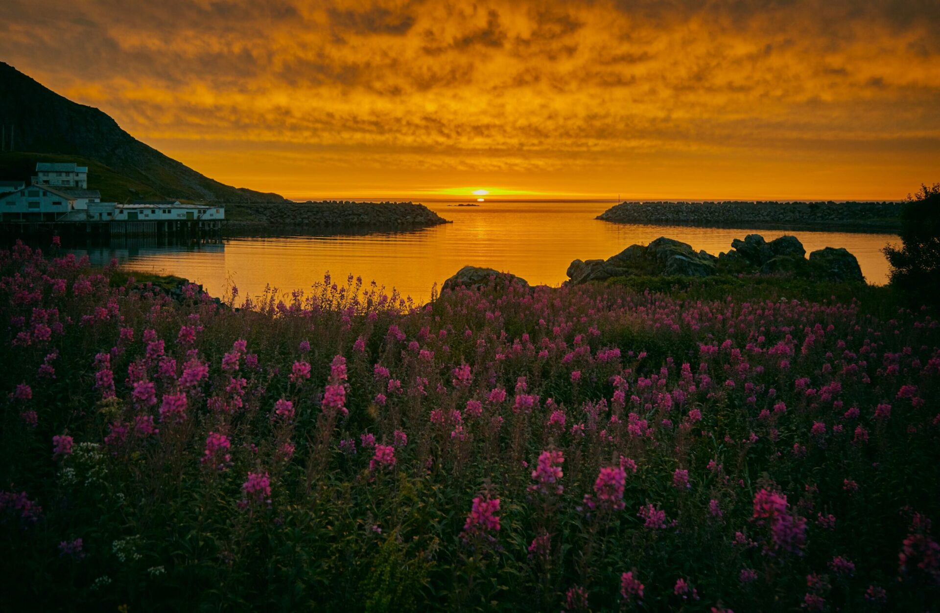sol-da-meia-noite-midnight-sun-nykvag-noruega-scaled-3