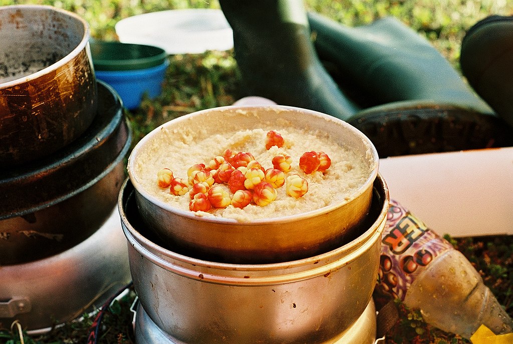 suecia-culinaria-sueca-cloudberries-with-oatmeal-porridge
