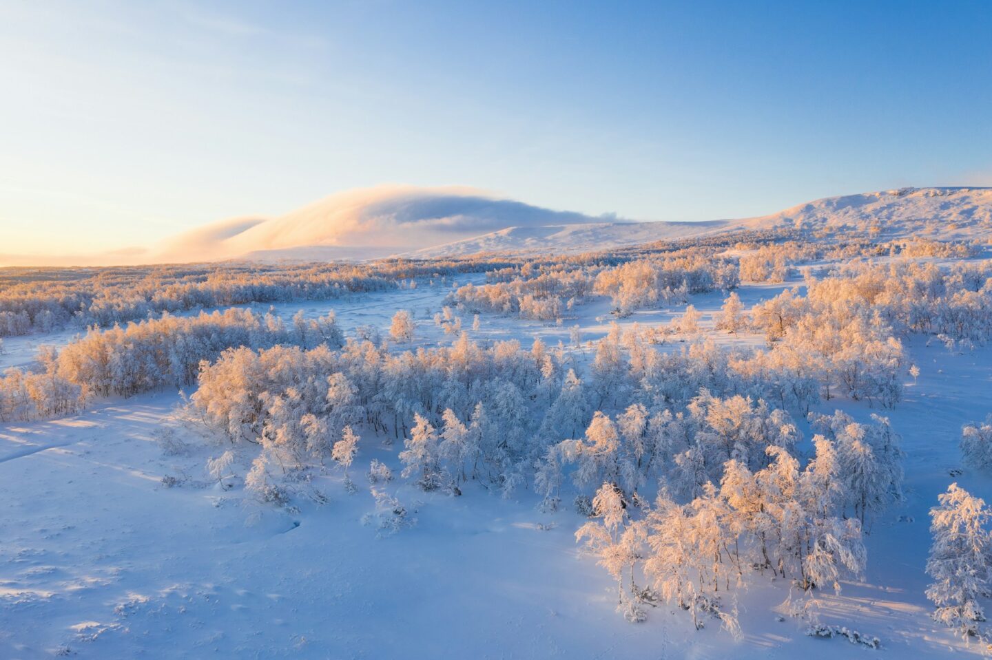 floresta boreal nevada em Härjedalen na Suécia jaanus-jagomagi-FFUPFHcp2YU-unsplash