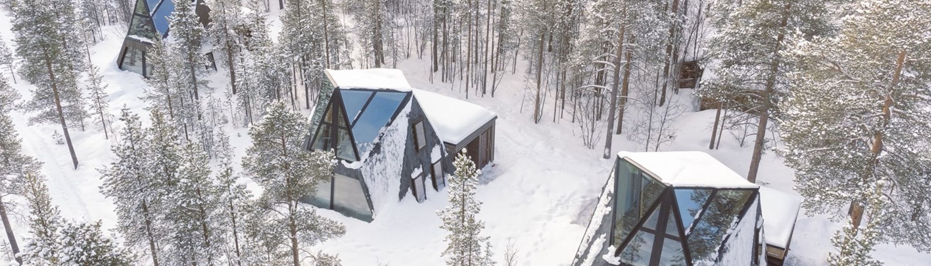 Trasti and Trine - Alta