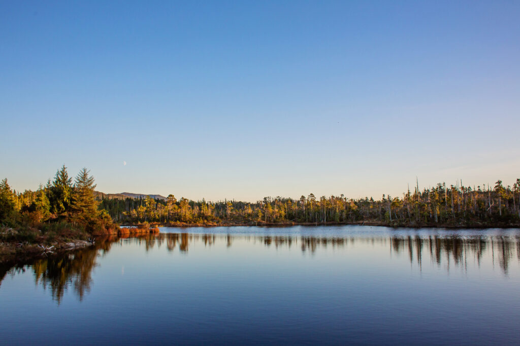 Reservoir in Bella Bella