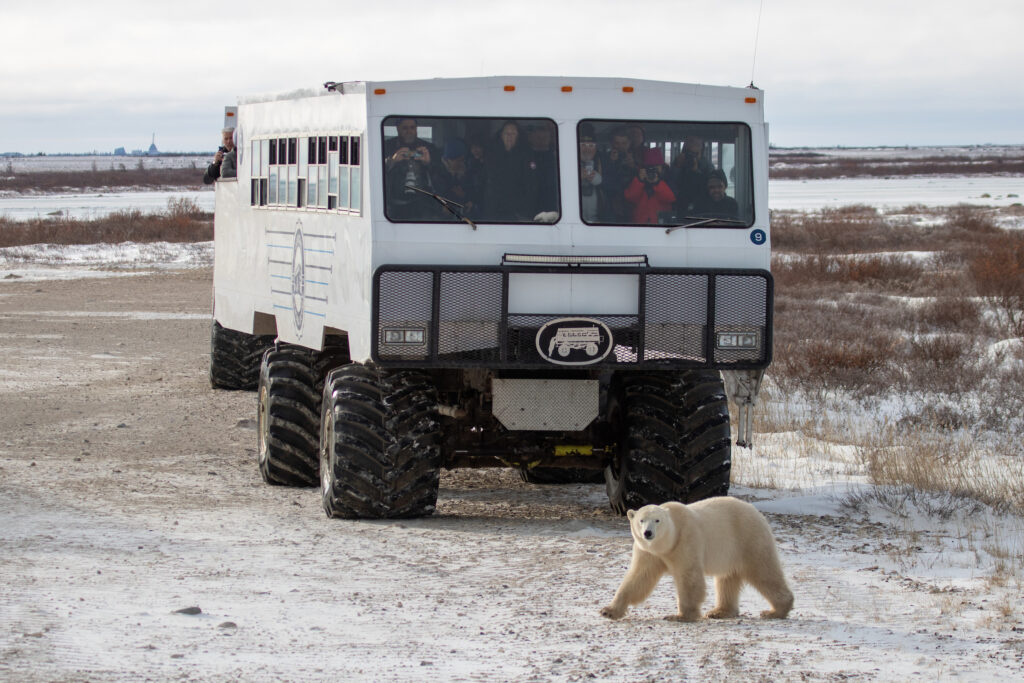 Photo credit: Alex Cupeiro & Frontiers North Adventures