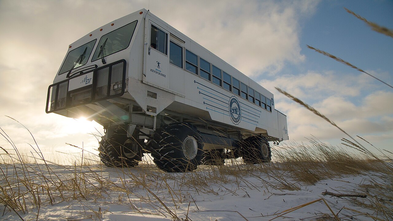Tundra Buggy elétrico em Churchill - Manitoba - Canadá