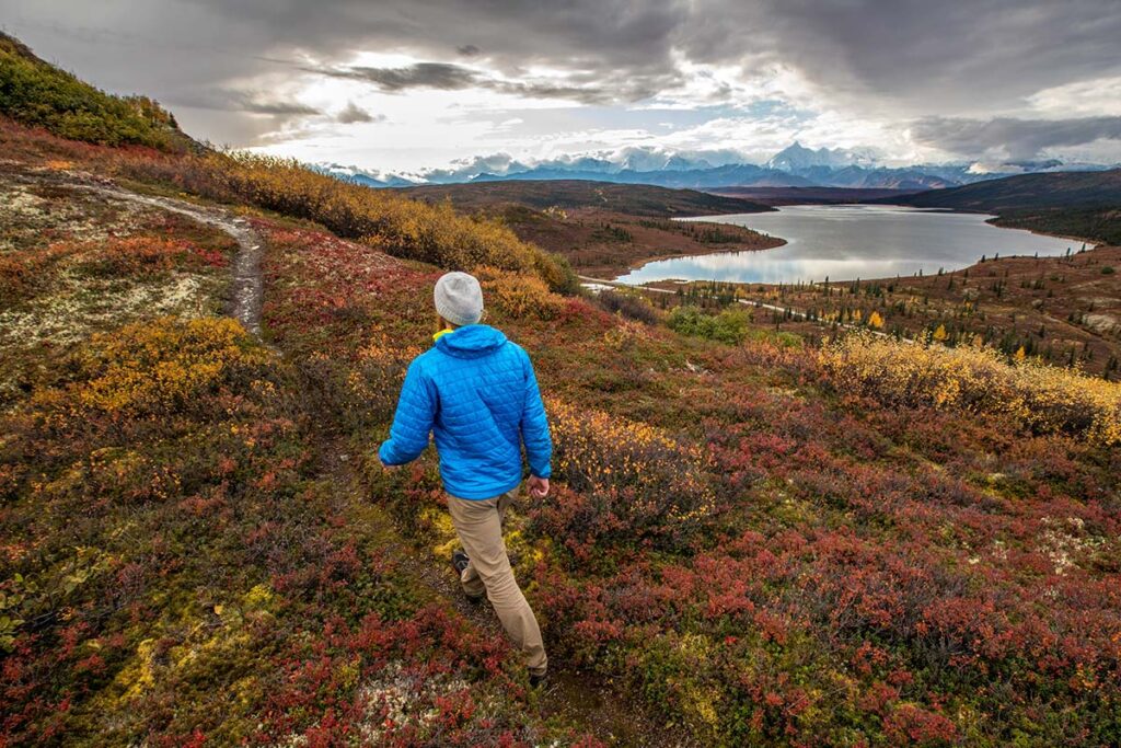 Trekking - Denali Backcountry Lodge - FORN