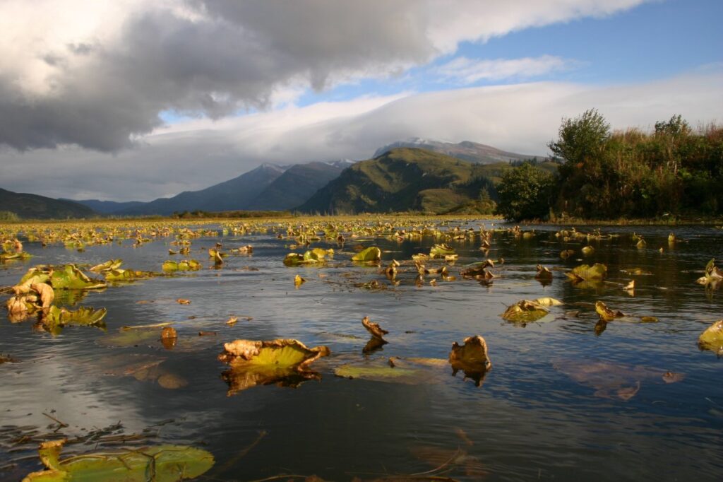 Lago no Homestead Lodge - Alasca FORN