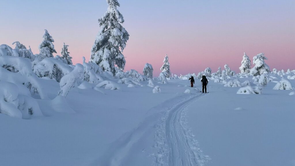 Pessoas esquiando no Parque Nacional de Urho Kekkonen – Saariselkä – Finlândia