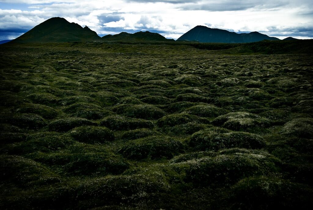 Campo de lava – Islândia