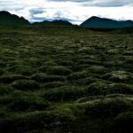 Campo de lava – Islândia